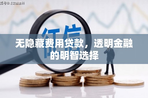 双湖无隐藏费用贷款，透明金融的明智选择