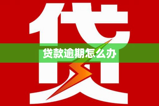 双湖贷款逾期怎么办