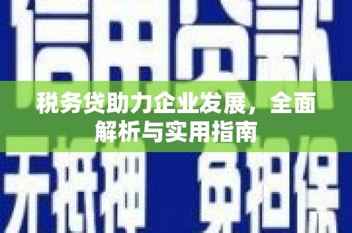 双湖税务贷助力企业发展，全面解析与实用指南