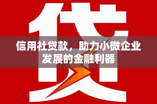 双湖信用社贷款，助力小微企业发展的金融利器