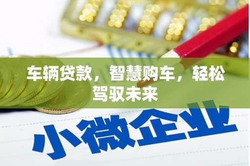 双湖车辆贷款，智慧购车，轻松驾驭未来