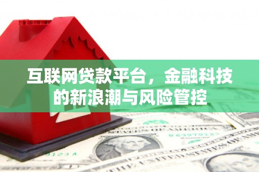 双湖互联网贷款平台，金融科技的新浪潮与风险管控