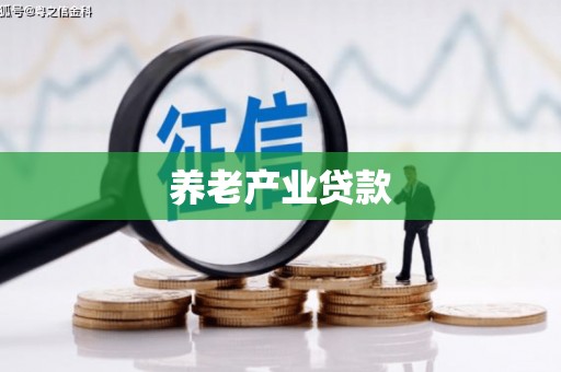 双湖养老产业贷款