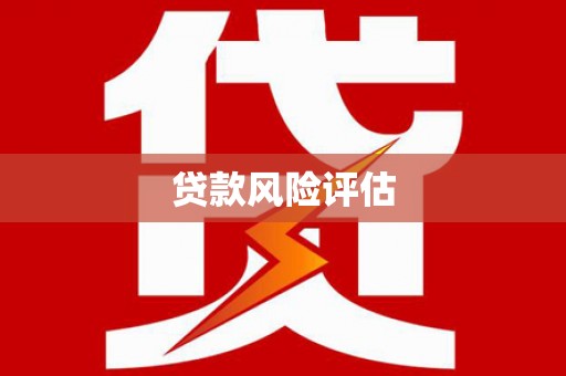 双湖贷款风险评估