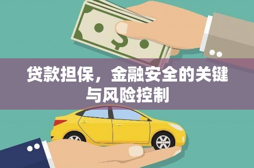 双湖贷款担保，金融安全的关键与风险控制