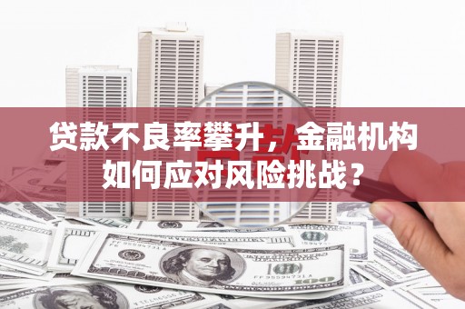 双湖贷款不良率攀升，金融机构如何应对风险挑战？