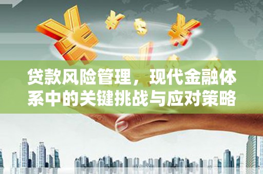 双湖贷款风险管理，现代金融体系中的关键挑战与应对策略