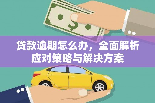 双湖贷款逾期怎么办，全面解析应对策略与解决方案